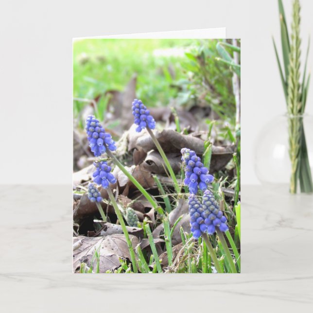 Karte - OsterBlume (Vorderseite)