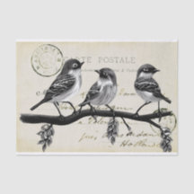 Karte Postale Vögel auf einer Zweigstelle (französ