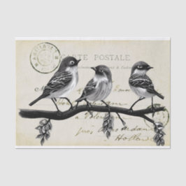 Karte Postale Vögel auf einer Zweigstelle (französ Seidenpapier
