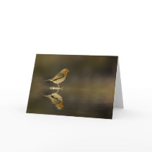 Karte Robin Reflektionskarte