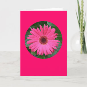 Karte, "rosa Gerber Gänseblümchen in einem Kreis" Karte