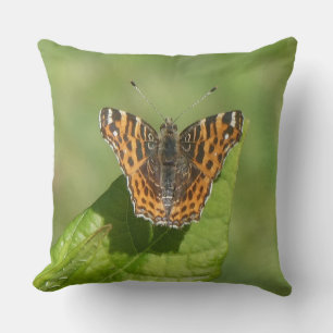 Karte Schmetterling auf dem linken Kissen