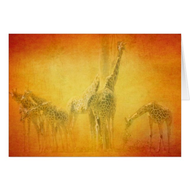 KARTE SERENGETI STIMMUNGS-GREETIN (Vorderseite (Horizontal))