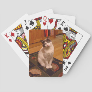 karte spielkarten