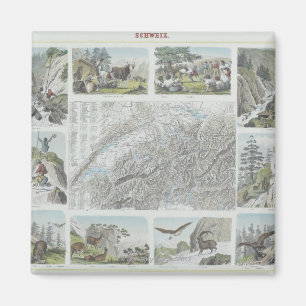 Karte und Vignetten von Schweizer Alpen Magnet