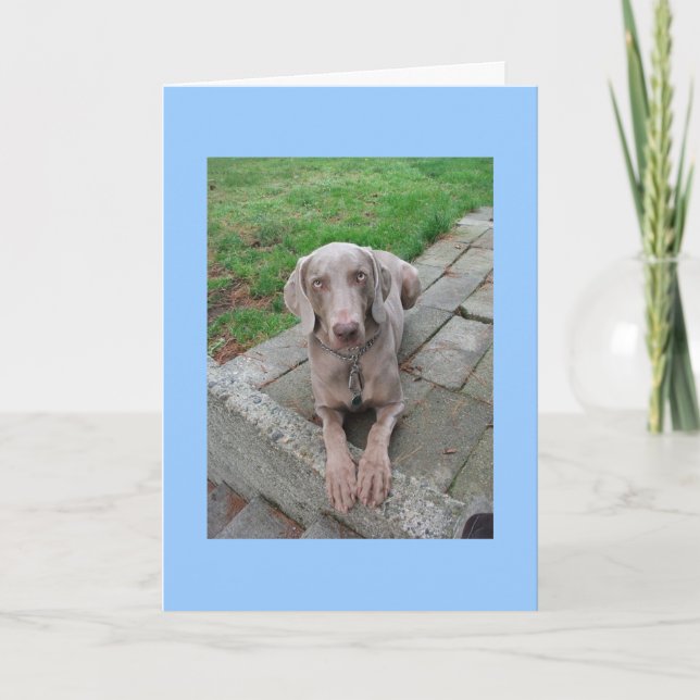 Karte verpassen (Vorderseite)