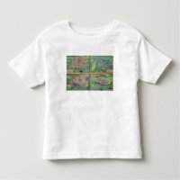 Karte von Calais, von Malta, von Rhodos und von