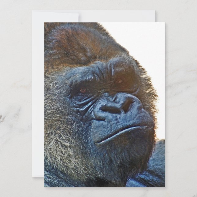 Karte von Dankbarkeit mit Gorilla (Vorderseite)