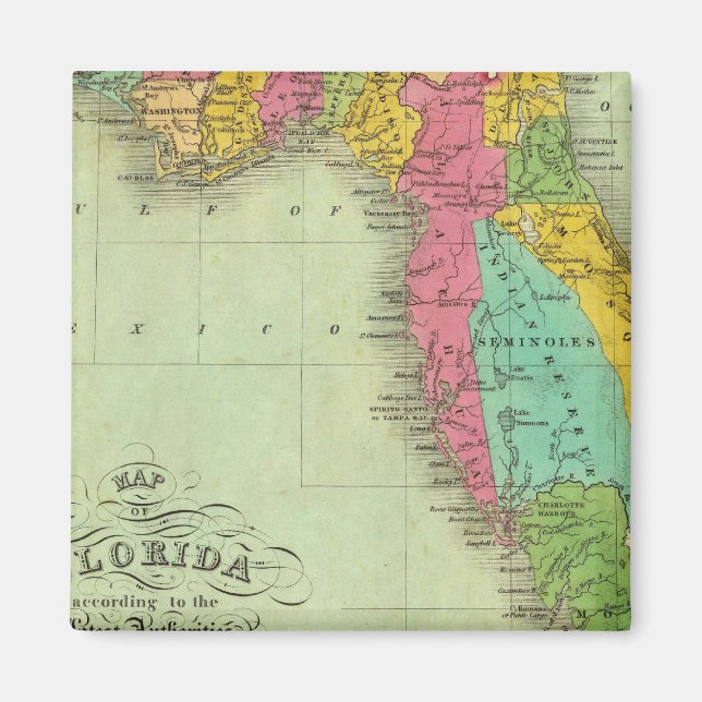 Karte von Florida Magnet (Vorne)