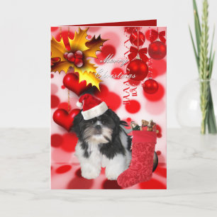 Karte Weihnachten Xmas Hund Shitzu Welpe Hut Herze
