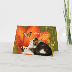 Karte Weiße Katze Kätzchen Blumen "Ich denke an di