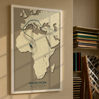 Karte zur Migration von Weißstorchen - Minimalisti Poster
