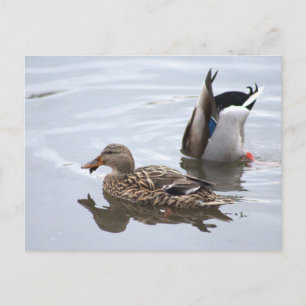 Karten auf der Postkarte