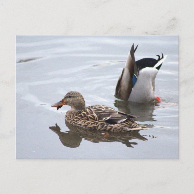 Karten auf der Postkarte (Vorderseite)
