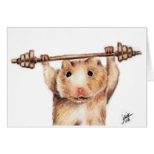 Karten des Trainings-(Hamster)