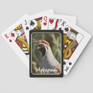 Karten für das Quantenspiel von Arizona Gambel Spielkarten