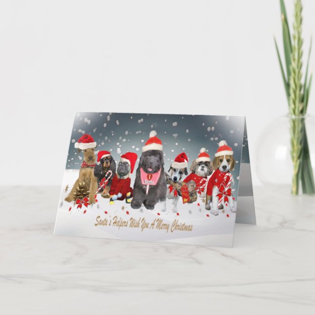 Karten für die Kaninenhilfe des Weihnachtsmanns (Vorderseite)