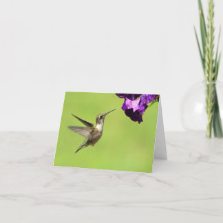Karten Hummers im Flug