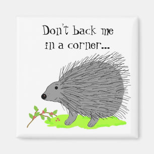 Karten-Igel mit Spruch Magnet