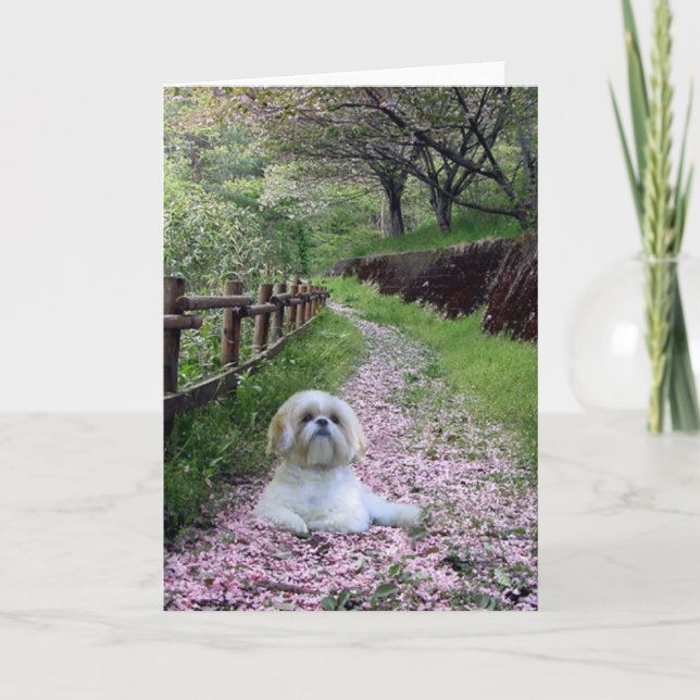 Karten-lila Blumen Shih Tzu Karte (Vorderseite)