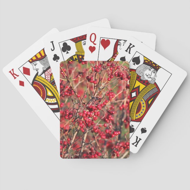 Karten mit Berries und Jumbo-Index spielen Spielkarten (Rückseite)