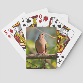 Karten spielen mit Bild der Trauertaube Spielkarten