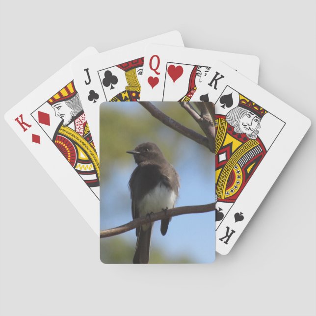 Karten spielen - Schwarzes Bild auf Zweig Spielkarten (Rückseite)