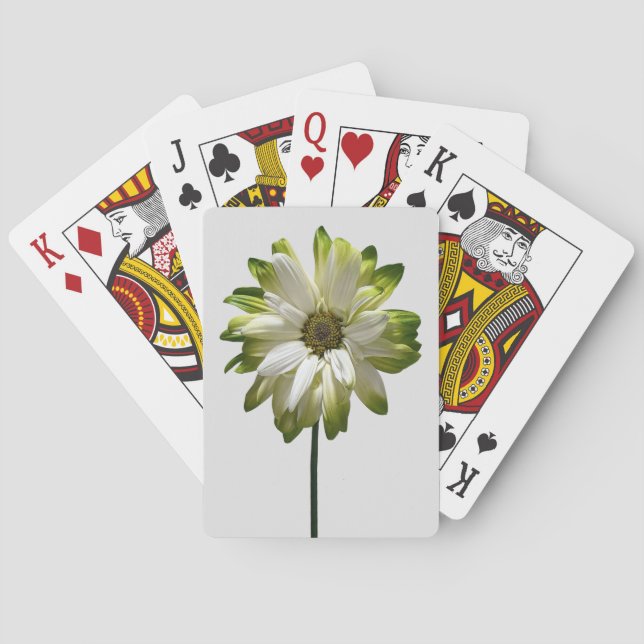 Karten spielen spielkarten (Rückseite)