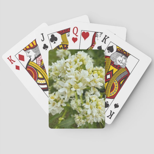 Karten spielen spielkarten (Rückseite)