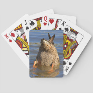 KARTEN SPIELKARTEN