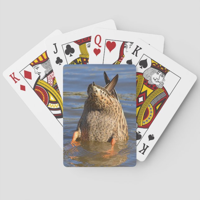 KARTEN SPIELKARTEN (Rückseite)