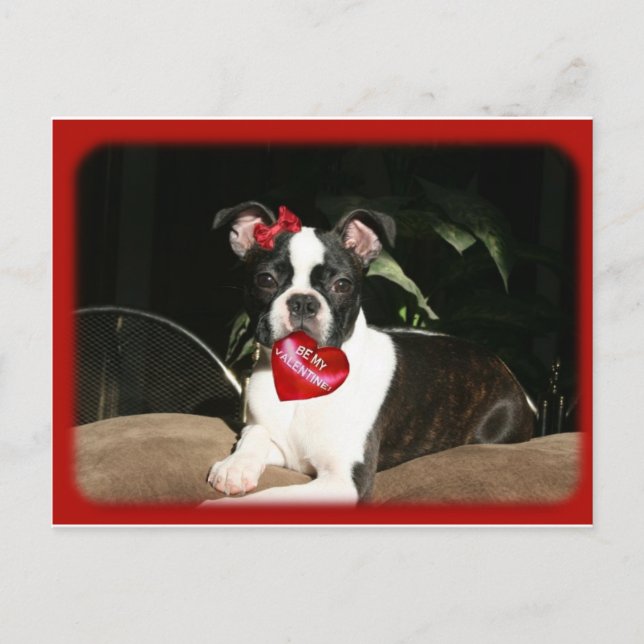 Karten: Valentinsgruß Boo Feiertagspostkarte (Vorderseite)