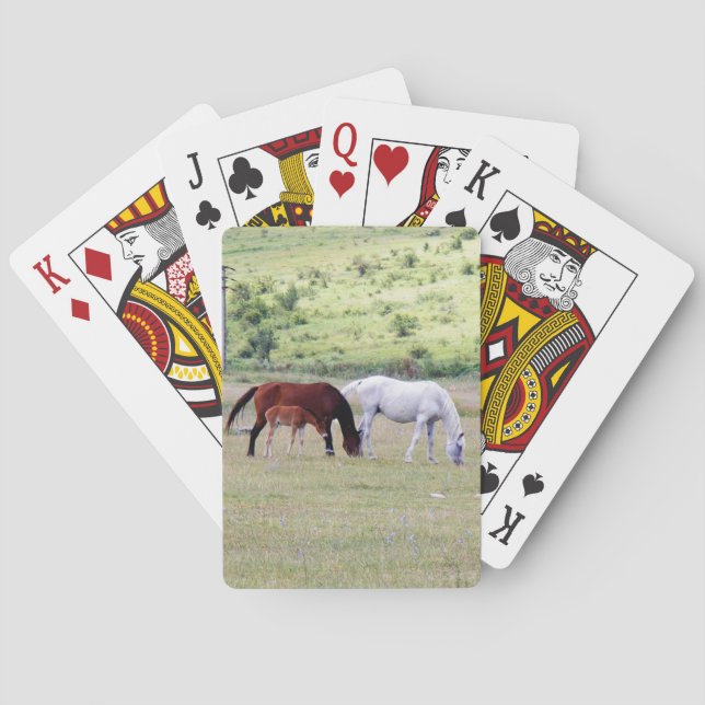 Kartendecke, Pferdefamilienfotografie Spielkarten (Rückseite)