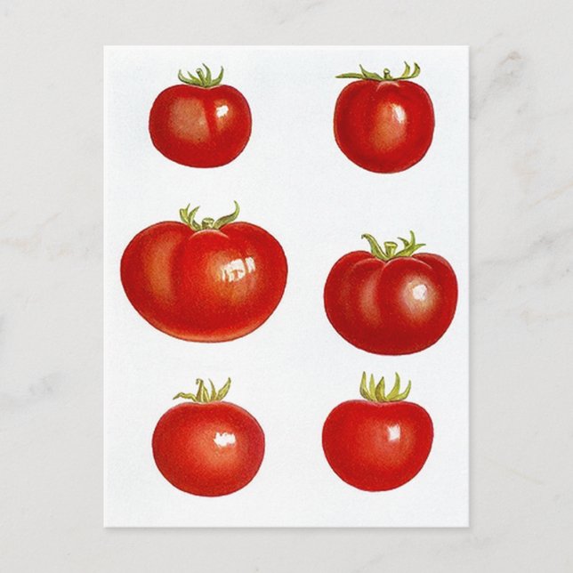 Kartendesign für Rezepte zur Weitergabe von Rezept Postkarte (Vorderseite)