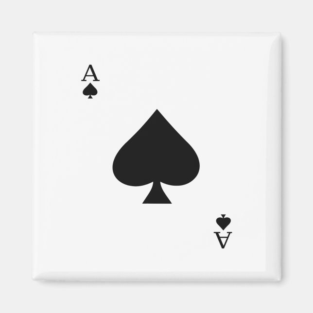 Kartenhalskostüm Magnet (Vorne)