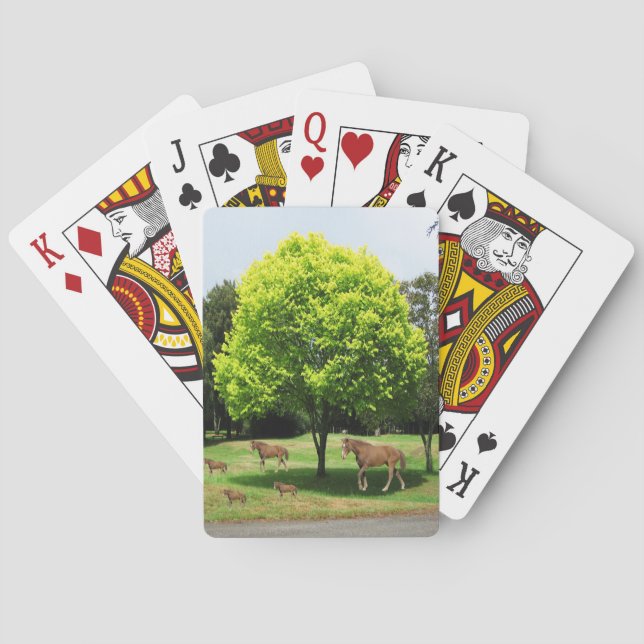 Kartenhalterung Spielkarten (Rückseite)