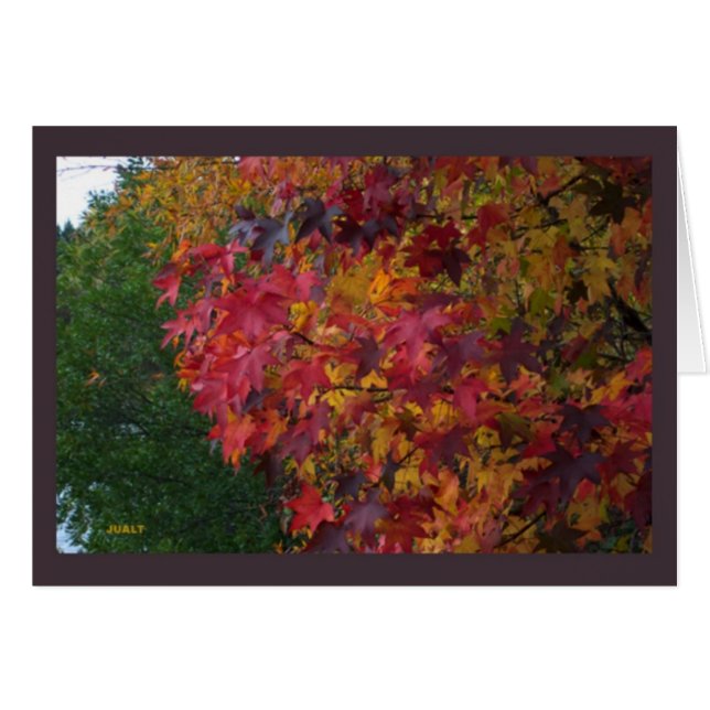 Kartenlandschaft 16 (Vorderseite (Horizontal))