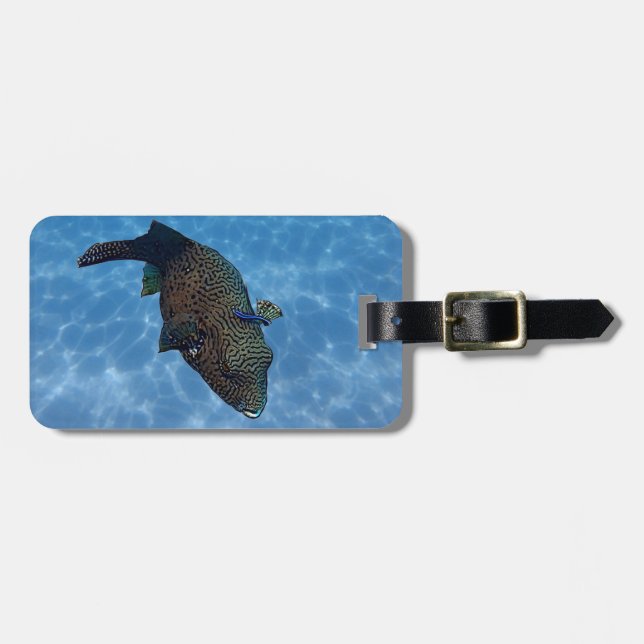 Kartenpuffer Gepäckanhänger (Vorderseite horizontal)