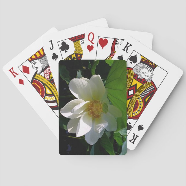 Kartenspielen am Deck mit delikater Lotus-Blume Spielkarten (Rückseite)