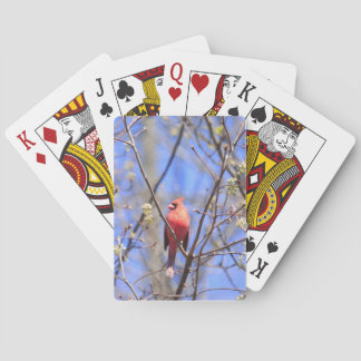 Kartenspielen mit dem Bild des nördlichen Kardinal Spielkarten