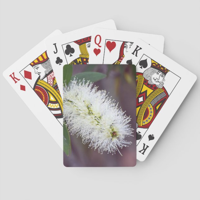 Kartenspielen mit Pflanze-Foto Spielkarten (Rückseite)