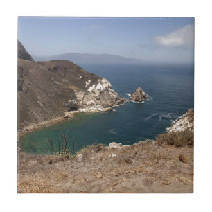 Kartoffelhafen Fliese