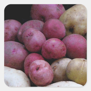 Kartoffelkleber Quadratischer Aufkleber
