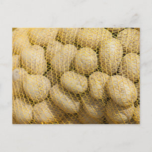 Kartoffeln Postkarte