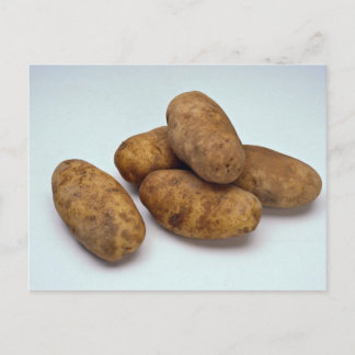 Kartoffeln Postkarte