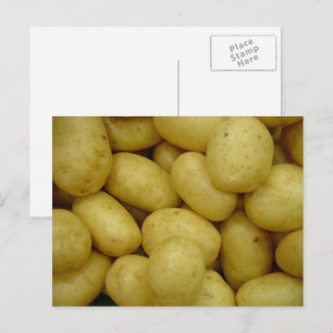 Kartoffeln Postkarte