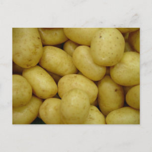 Kartoffeln Postkarte