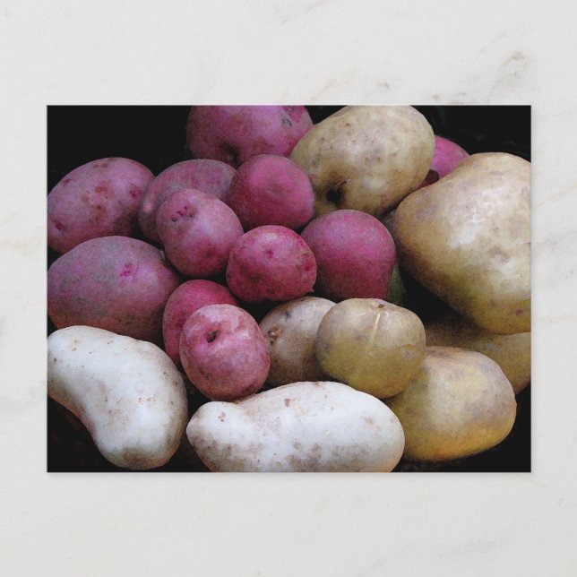 Kartoffelpostkarte Postkarte (Vorderseite)