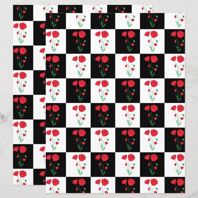 Karton-Karton (Vorne/Hinten)