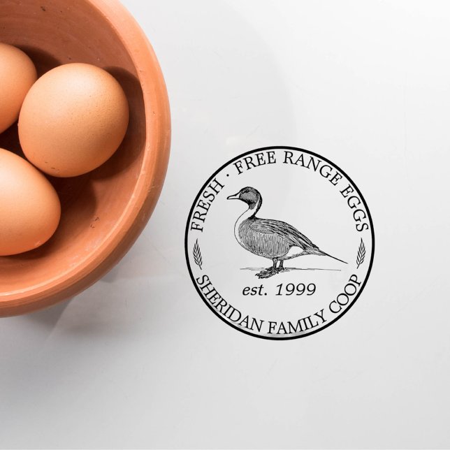 Karton Promo für Vintage Enten Gummistempel (Vintage Duck Classic Family Farm Egg Carton Promo Rubber Stamp)